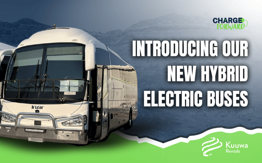 Hybrid Electric Buses